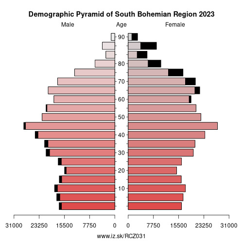 demographic pyramid CZ031 South Bohemian Region