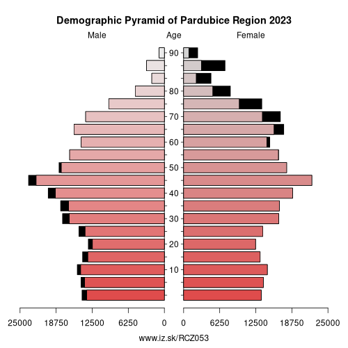 demographic pyramid CZ053 Pardubice Region