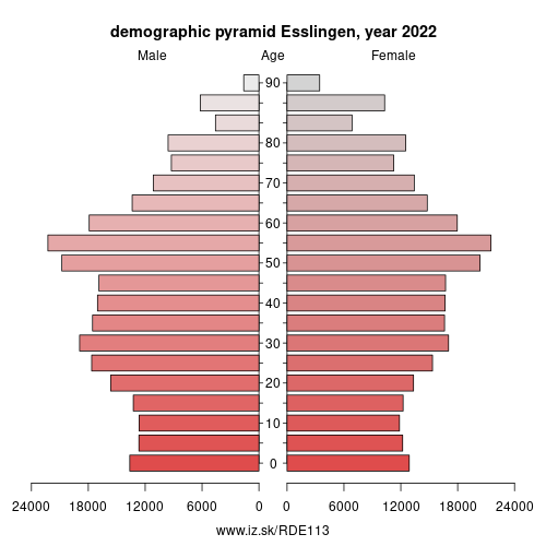 demographic pyramid DE113 Esslingen