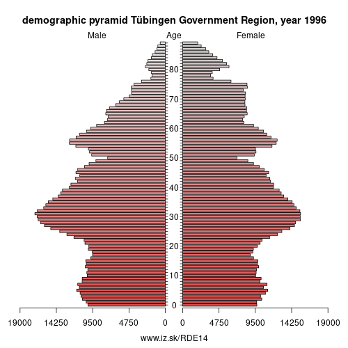 demographic pyramid DE14 1996 Tübingen Government Region, population pyramid of Tübingen Government Region