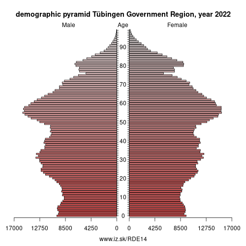 demographic pyramid DE14 Tübingen Government Region