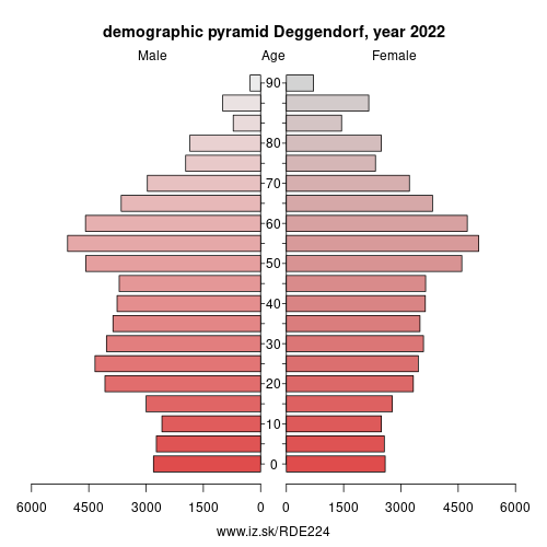 demographic pyramid DE224 Deggendorf