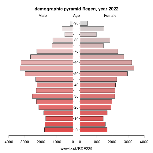 demographic pyramid DE229 Regen district