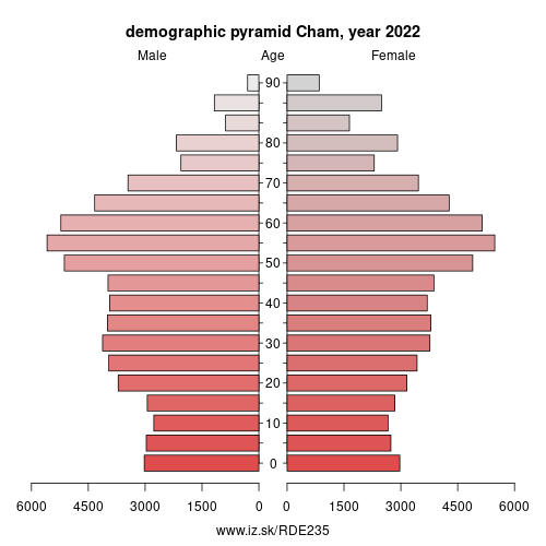 demographic pyramid DE235 Cham