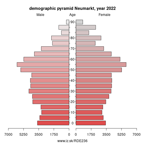 demographic pyramid DE236 Neumarkt