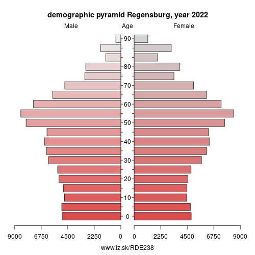 demographic pyramid DE238 Regensburg