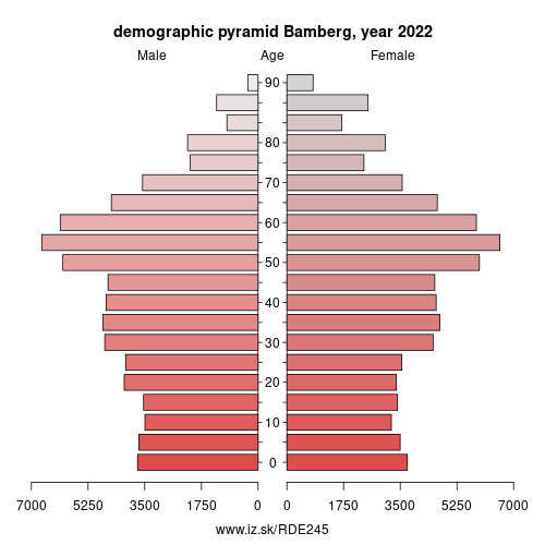 demographic pyramid DE245 Bamberg