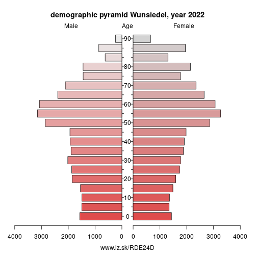 demographic pyramid DE24D Wunsiedel