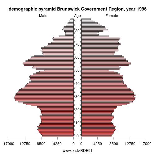 demographic pyramid DE91 1996 Brunswick Government Region, population pyramid of Brunswick Government Region