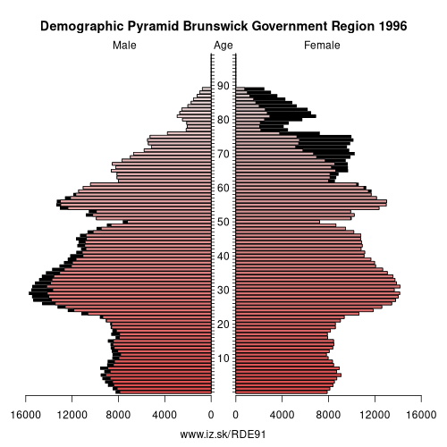 demographic pyramid DE91 1996 Brunswick Government Region, population pyramid of Brunswick Government Region