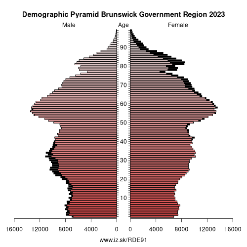 demographic pyramid DE91 Brunswick Government Region