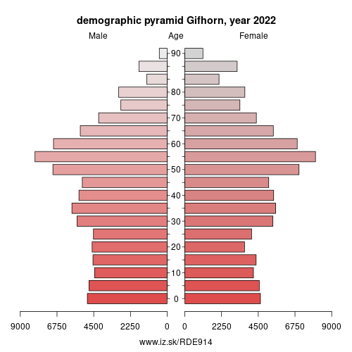 demographic pyramid DE914 Gifhorn