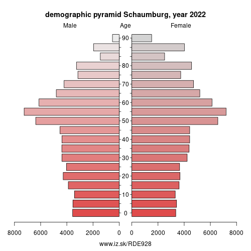 demographic pyramid DE928 Schaumburg