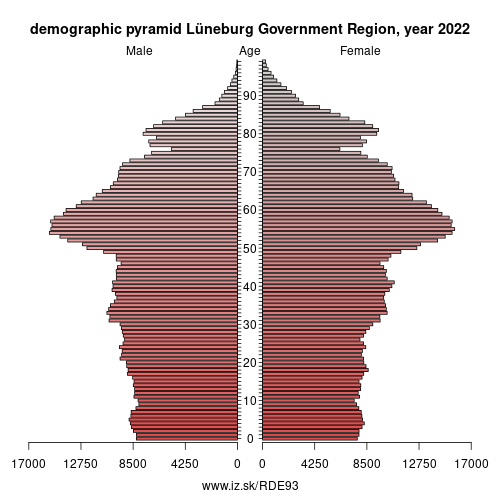 demographic pyramid DE93 Lüneburg Government Region