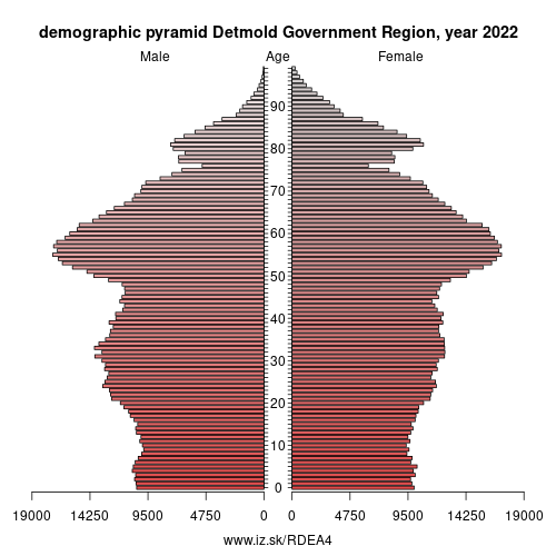 demographic pyramid DEA4 Detmold Government Region