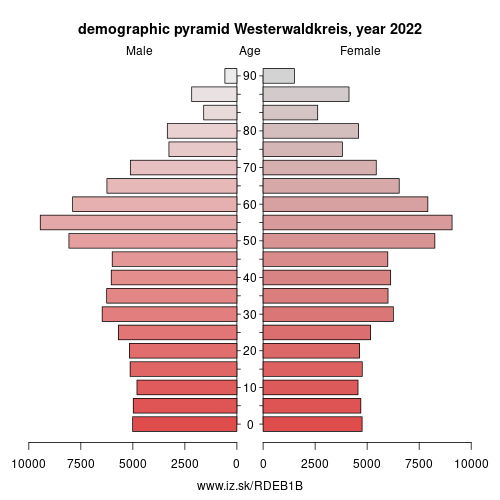 demographic pyramid DEB1B Westerwaldkreis