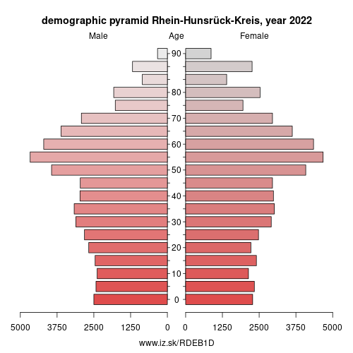 demographic pyramid DEB1D Rhein-Hunsrück-Kreis