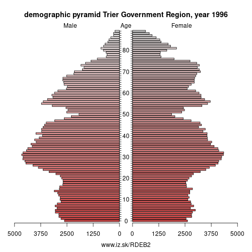 demographic pyramid DEB2 1996 Trier Government Region, population pyramid of Trier Government Region