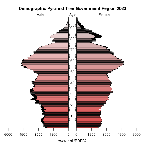 demographic pyramid DEB2 Trier Government Region