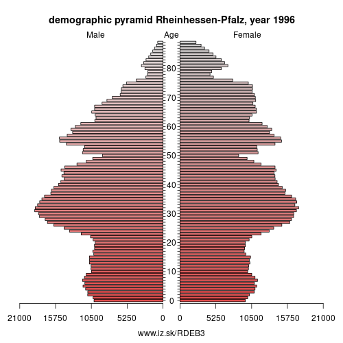 demographic pyramid DEB3 1996 Rheinhessen-Pfalz, population pyramid of Rheinhessen-Pfalz