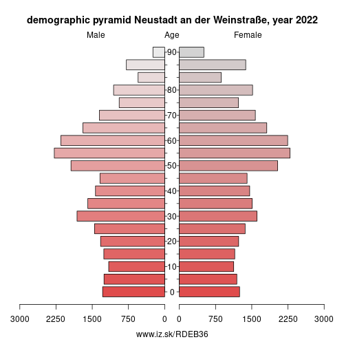 demographic pyramid DEB36 Neustadt an der Weinstraße