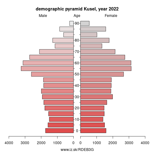 demographic pyramid DEB3G Kusel