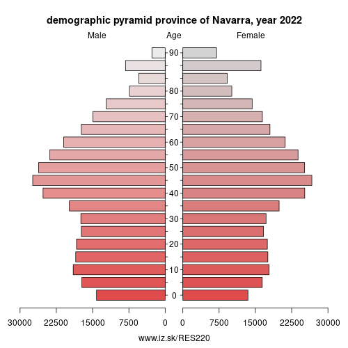 demographic pyramid ES220 province of Navarra
