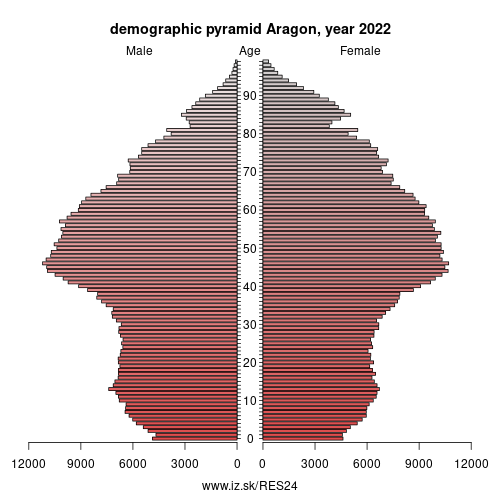 demographic pyramid ES24 Aragon