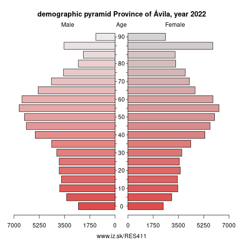 demographic pyramid ES411 Province of Ávila