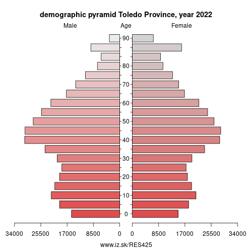 demographic pyramid ES425 Toledo Province