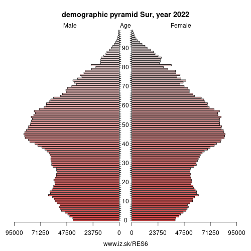 demographic pyramid ES6 Sur
