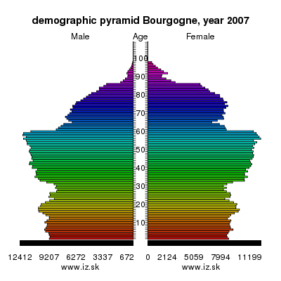 demographic pyramid Bourgogne,