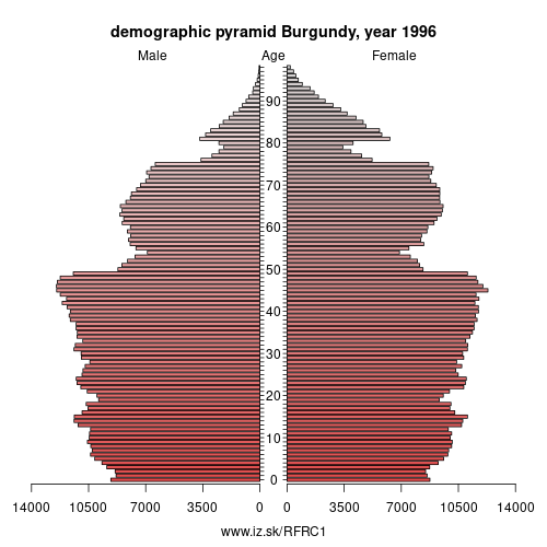 demographic pyramid FRC1 1996 Burgundy, population pyramid of Burgundy