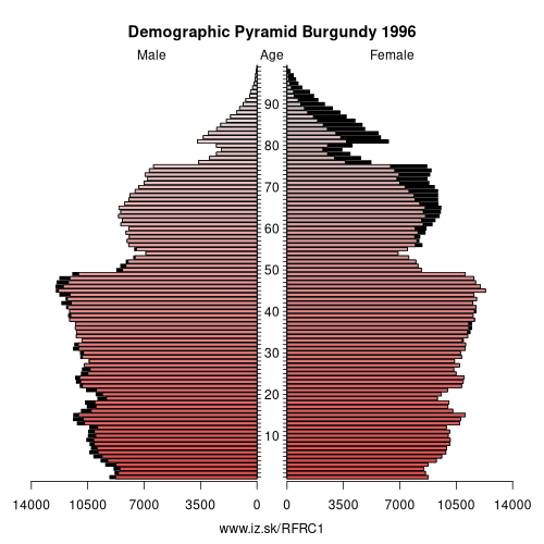 demographic pyramid FRC1 1996 Burgundy, population pyramid of Burgundy