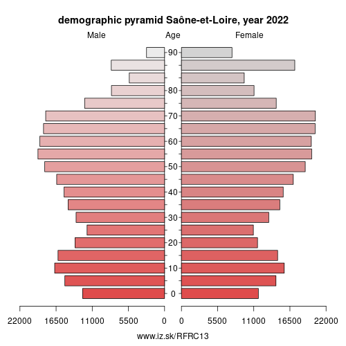 demographic pyramid FRC13 Saône-et-Loire