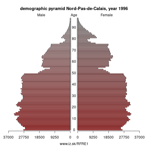 demographic pyramid FRE1 1996 Nord-Pas-de-Calais, population pyramid of Nord-Pas-de-Calais