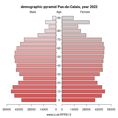 demographic pyramid FRE12 Pas-de-Calais