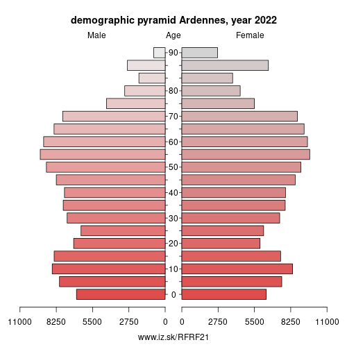 demographic pyramid FRF21 Ardennes