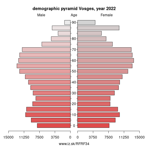 demographic pyramid FRF34 Vosges