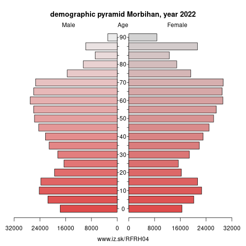 demographic pyramid FRH04 Morbihan