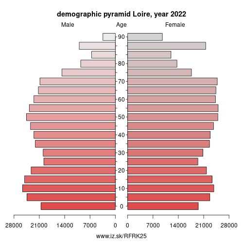 population pyramid of FRK25 Loire