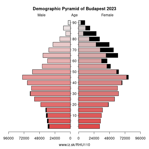 demographic pyramid HU110 Budapest