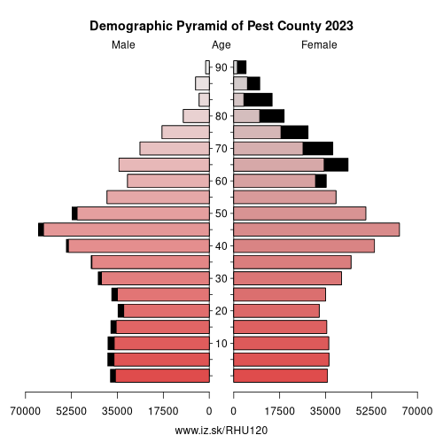 demographic pyramid HU120 Pest County