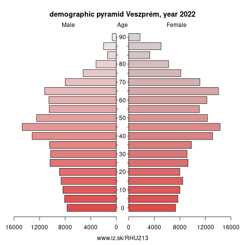 demographic pyramid HU213 Veszprém County