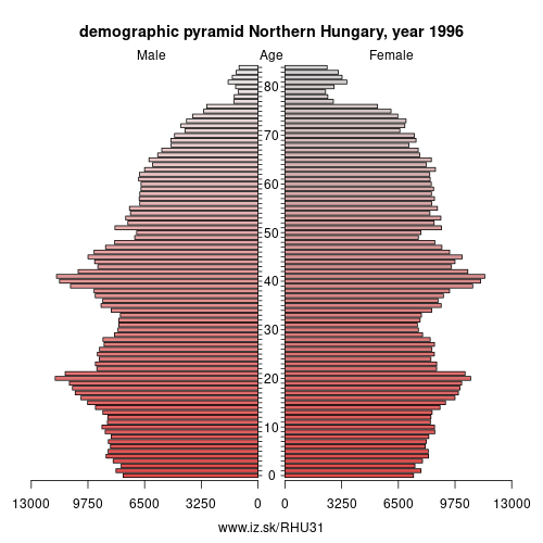demographic pyramid HU31 1996 Northern Hungary, population pyramid of Northern Hungary