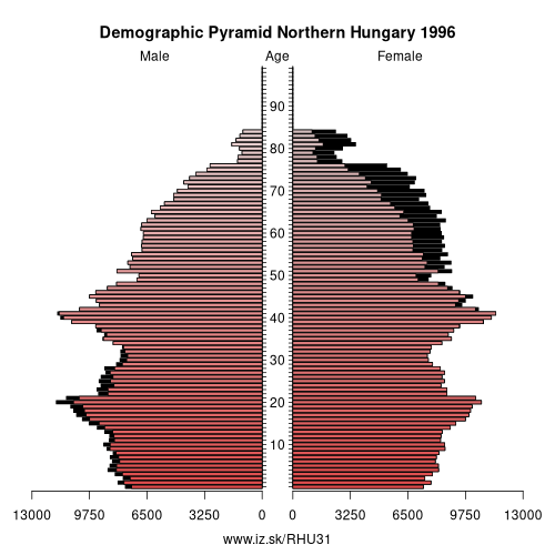 demographic pyramid HU31 1996 Northern Hungary, population pyramid of Northern Hungary