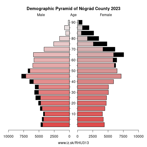 demographic pyramid HU313 Nógrád County