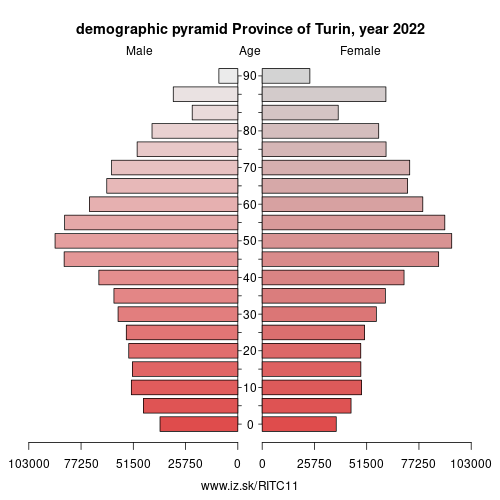 demographic pyramid ITC11 Province of Turin