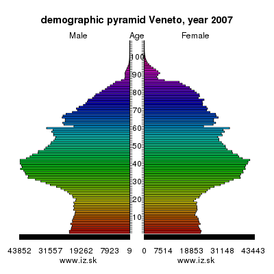 demographic pyramid Veneto,