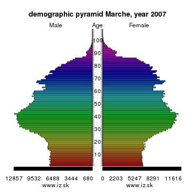 demographic pyramid Marche,